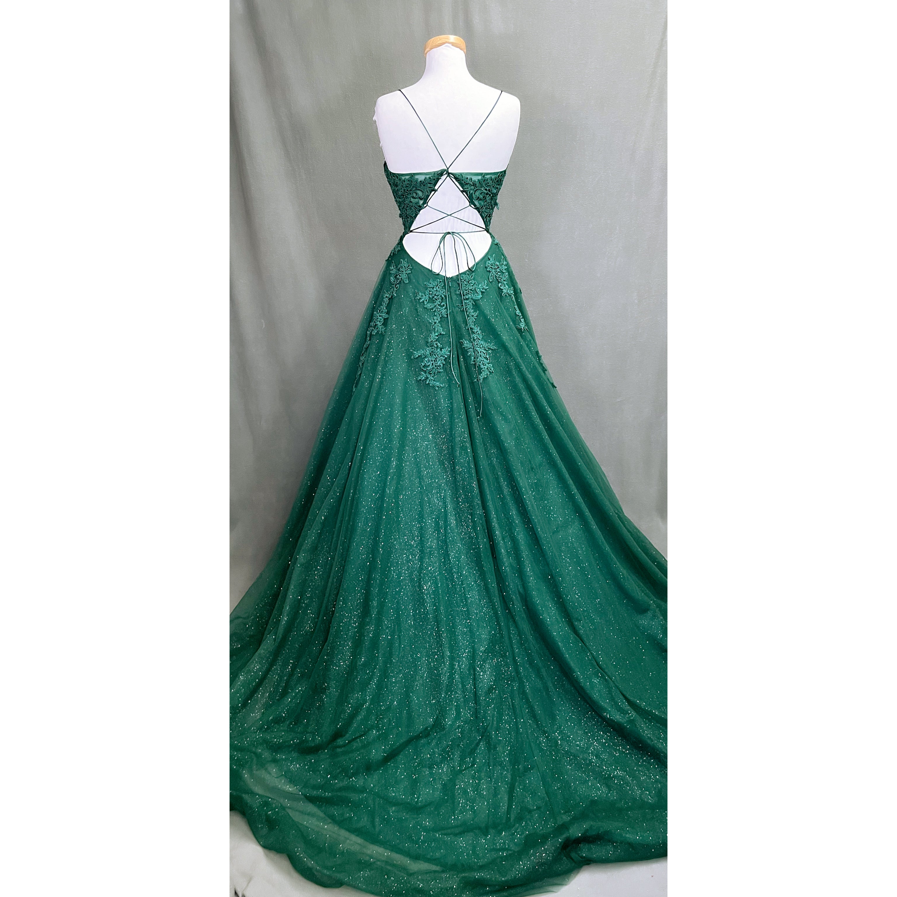 Nina Canacci evergreen ballgown, size 12
