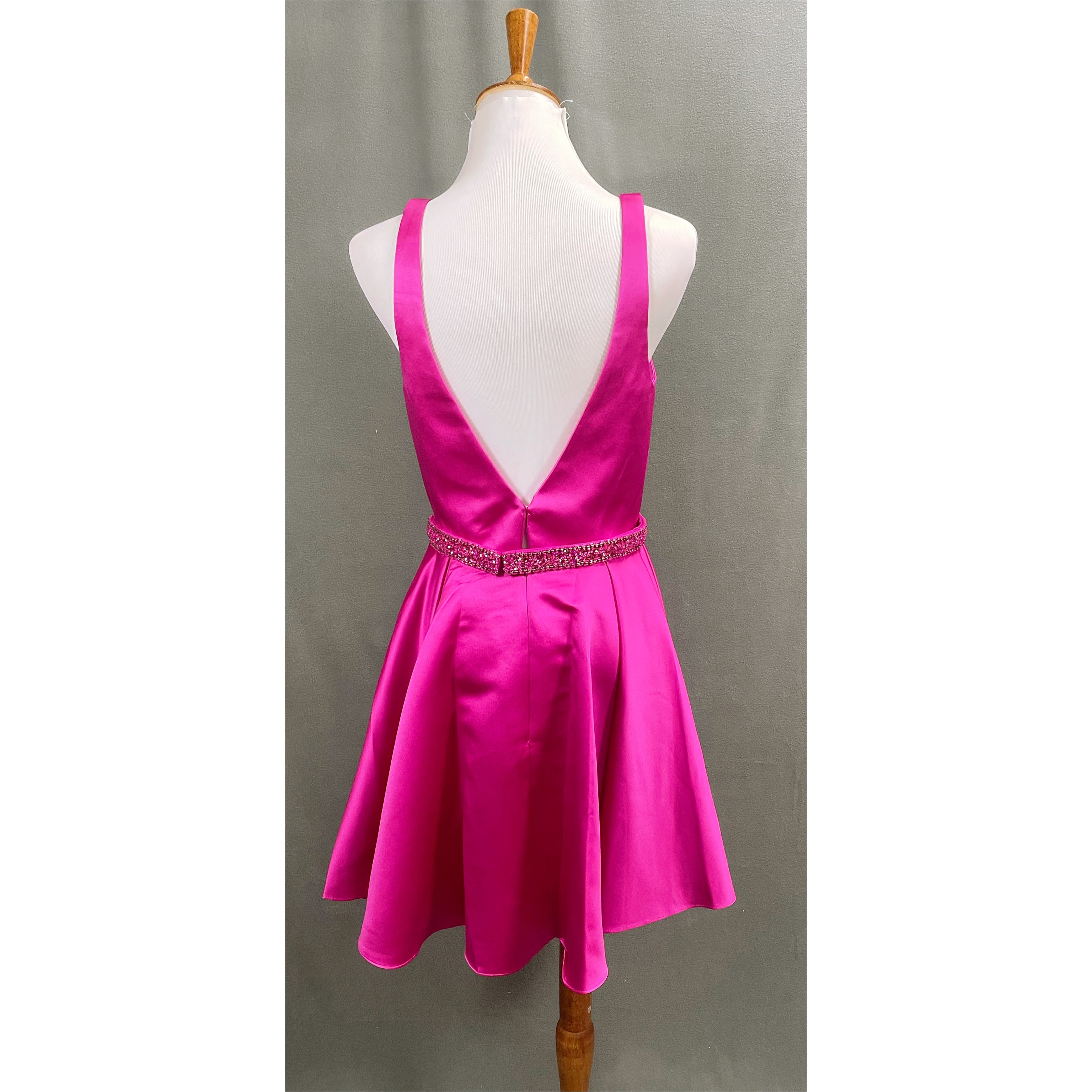 Alyce raspberry dress, size 6, NEW WITH TAGS!