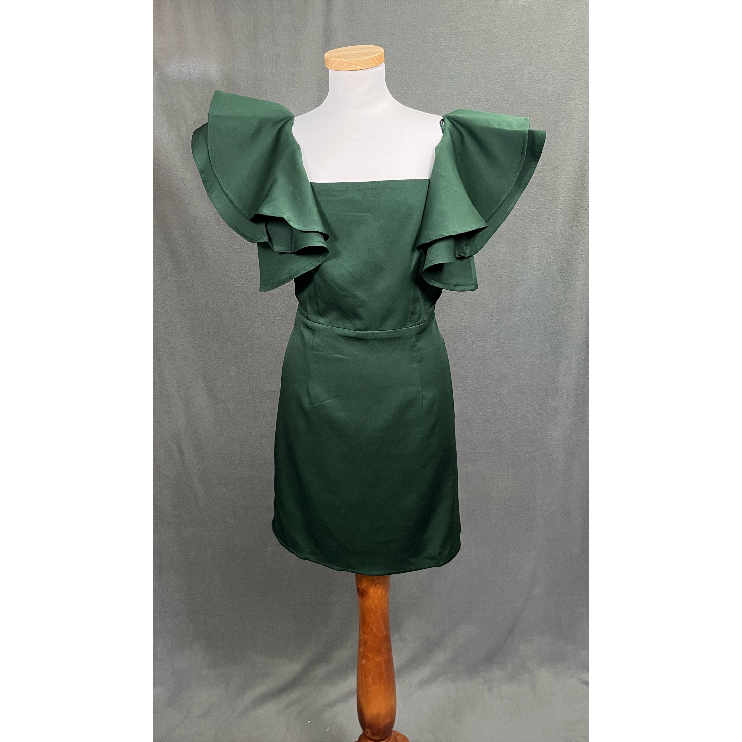 TCEC evergreen dress, size L, NEW WITH TAGS!